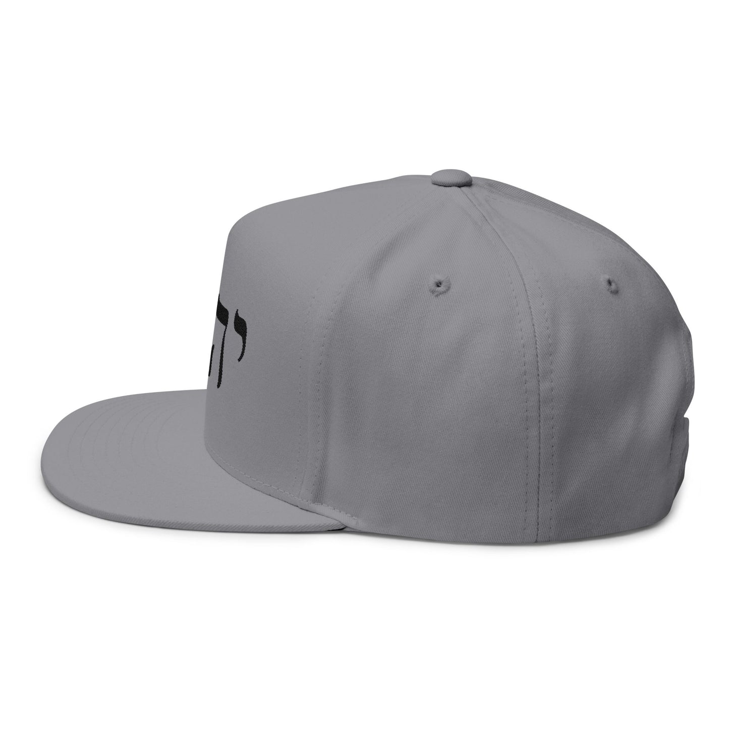 Inspirational Embroidered Flat Bill Cap - Hebrew Design