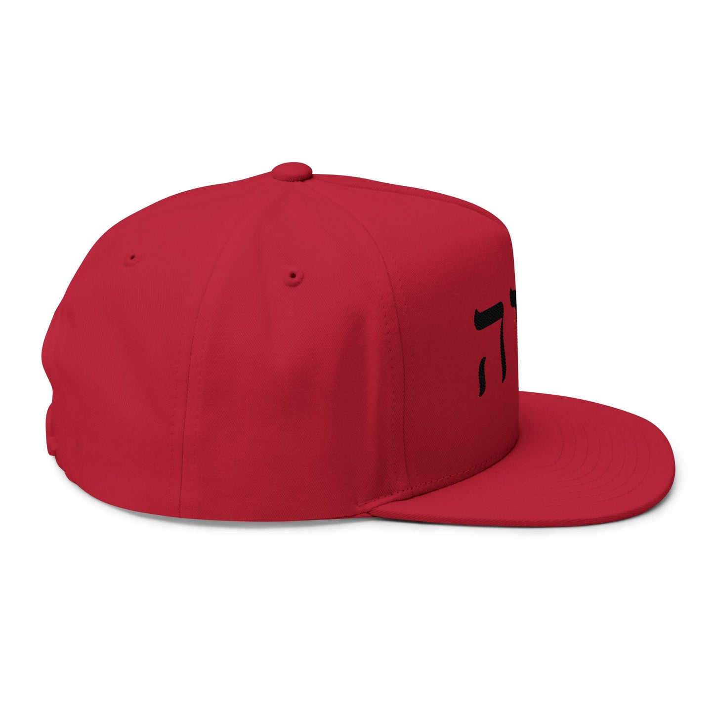 Inspirational Embroidered Flat Bill Cap - Hebrew Design