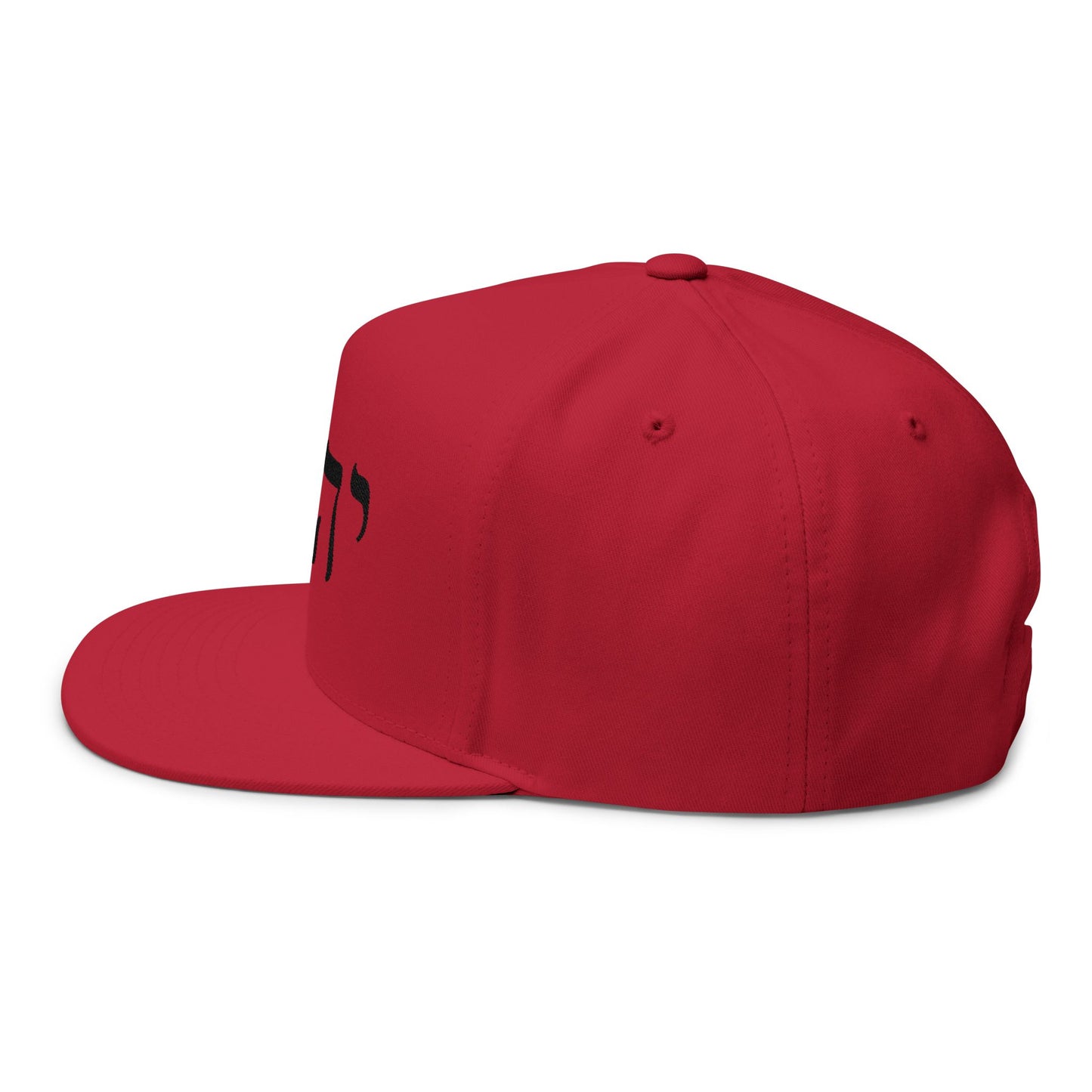 Inspirational Embroidered Flat Bill Cap - Hebrew Design